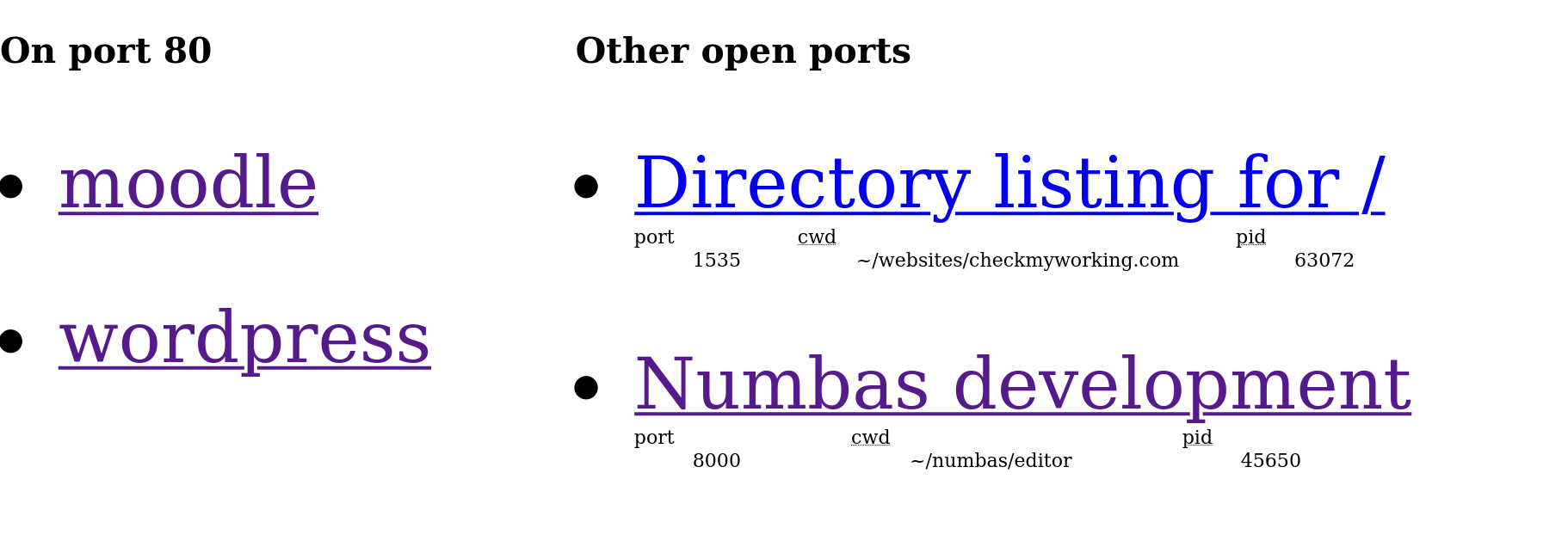 A webpage with two columns. The first lists "moodle" and "wordpress" under the heading "On port 80". The other has the header "Other open ports" and there are two list items. The first reads, "Directory listing for /", with port: 1535, cwd: ~/websites/checkmyworking.com, pid: 63072. The second reads, "Numbas development server", port: 8000, cwd: ~/numbas/editor, pid: 45650.